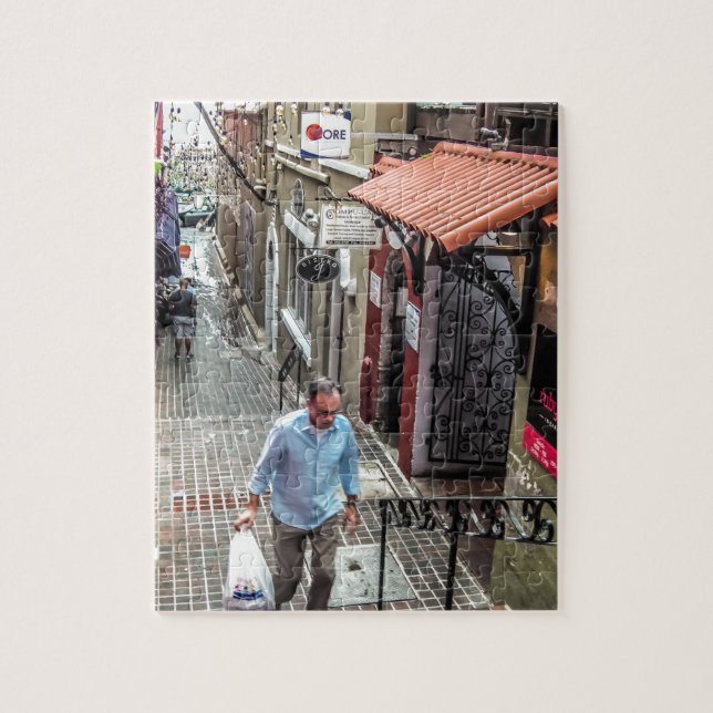 Puzzle St trasero de Hamilton (Vertical)