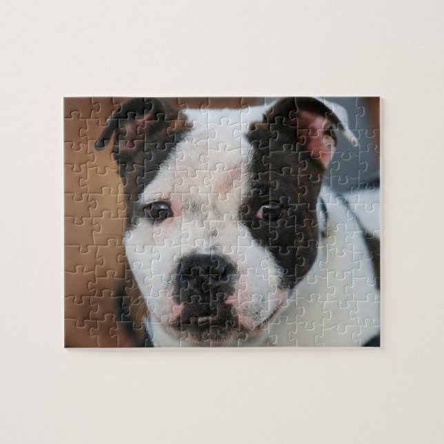 Puzzle Staffordshire bull terrier (Horizontal)