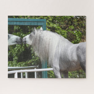Puzzle Stallion Gris Andaluz Mirando Espejo