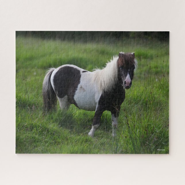 Puzzle Stallion Pony De Shetland En Pie (Horizontal)