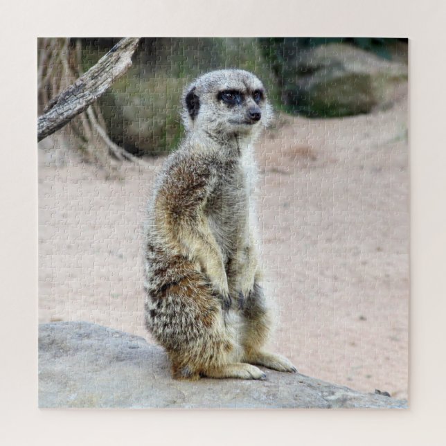 Puzzle stand de meerkat (Vertical)