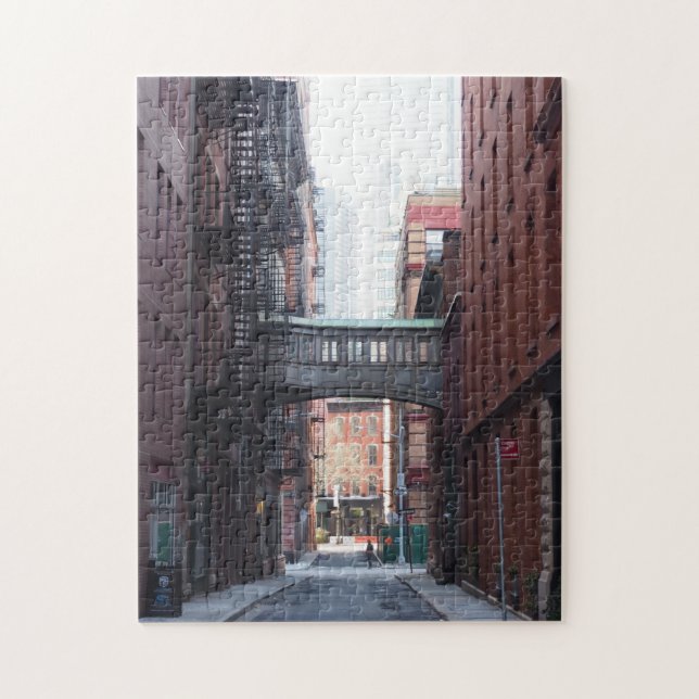 Puzzle Staple Street Skybridge Tribeca New York City NYC (Vertical)