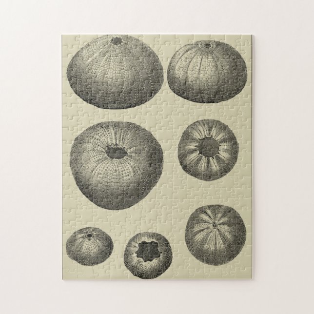 Puzzle Starfish negro y blanco (Vertical)