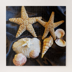 Puzzle starfish seashelhelhells sealife beach still life