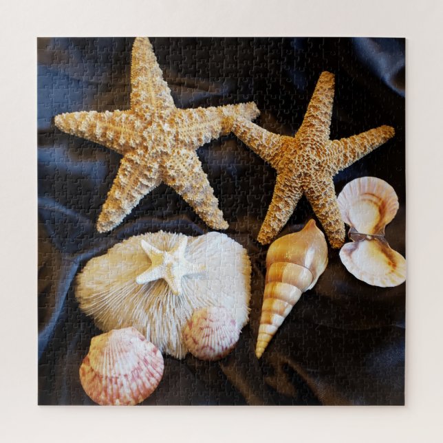 Puzzle starfish seashelhelhells sealife beach still life  (Vertical)