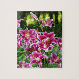 Puzzle Stargazer Lilies
