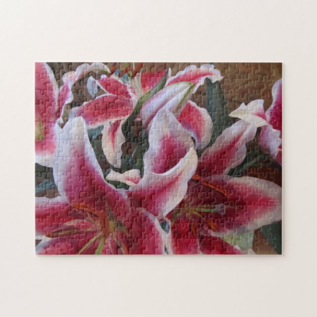 Puzzle Stargazers-1 (Horizontal)