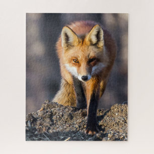 Puzzle Stealthy Fox