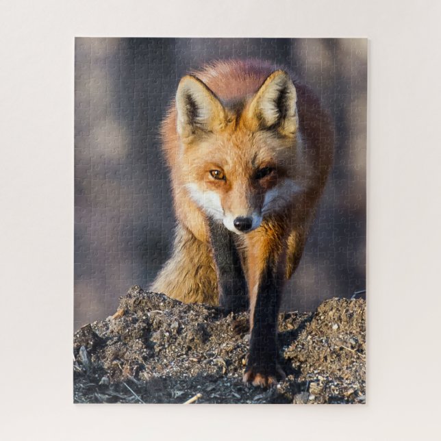 Puzzle Stealthy Fox (Vertical)