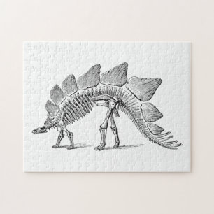 Puzzle Stegosaurus Dinosaur Skeleton Fossil