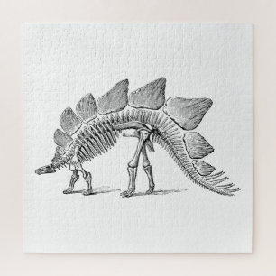 Puzzle Stegosaurus Dinosaur Skeleton Fossil