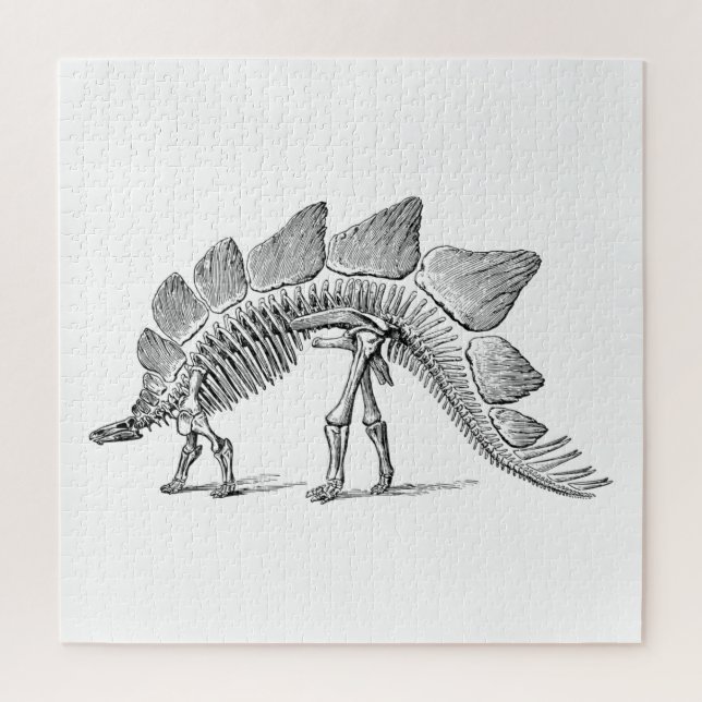Puzzle Stegosaurus Dinosaur Skeleton Fossil (Vertical)