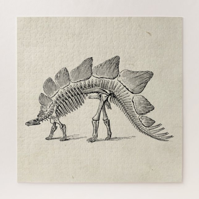 Puzzle Stegosaurus Dinosaur Skeleton Fossil (Vertical)