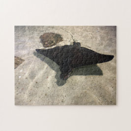 Puzzle Stingray