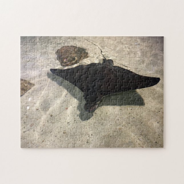 Puzzle Stingray (Horizontal)