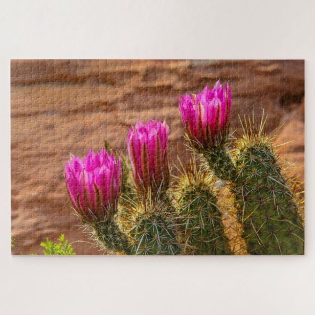 Puzzle Strawberry hedgehog cactus triplets (Horizontal)