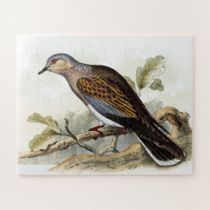 Puzzle Streptopelia turtur Dove Wild Bird Feather Art Jig
