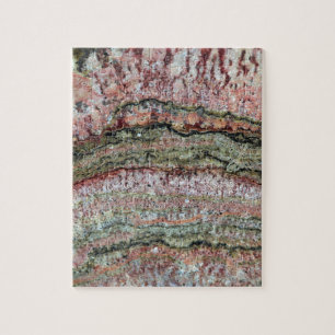 Puzzle Stromatolites fosilizado