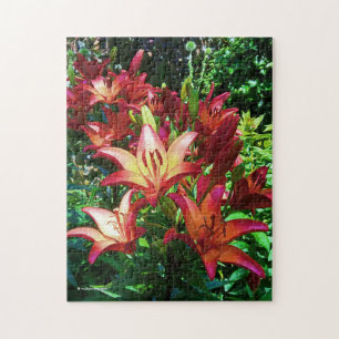 Puzzle Stunning Red Orange Asiatic Lilies Flowers