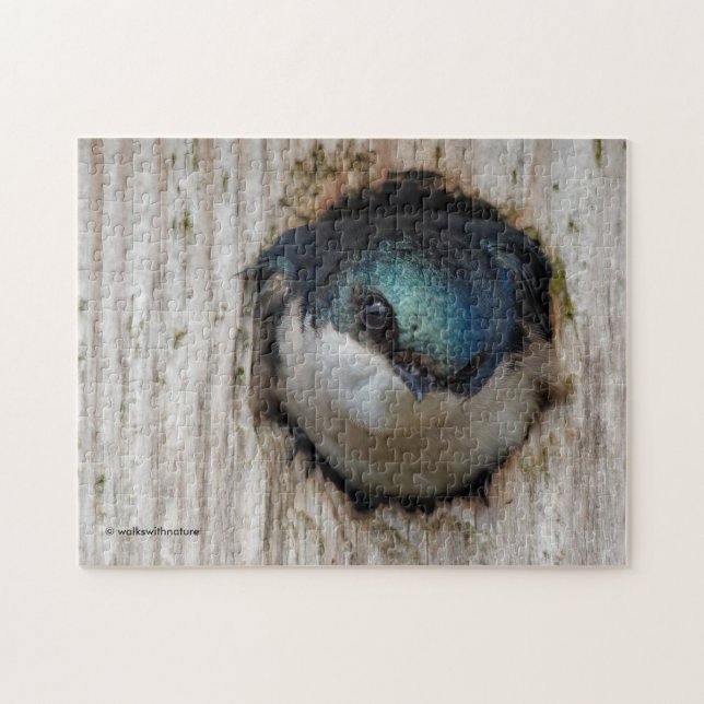 Puzzle Stunning Tree Swallow in a Nestbox (Horizontal)
