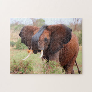 Puzzle Suaves Bestias de las Llanuras.Elefantes