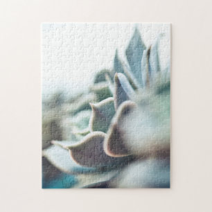 Puzzle Succulent de Echeveria