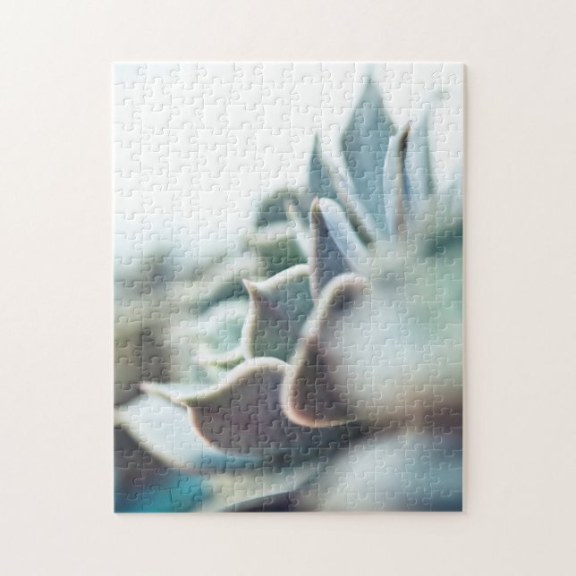 Puzzle Succulent de Echeveria (Vertical)