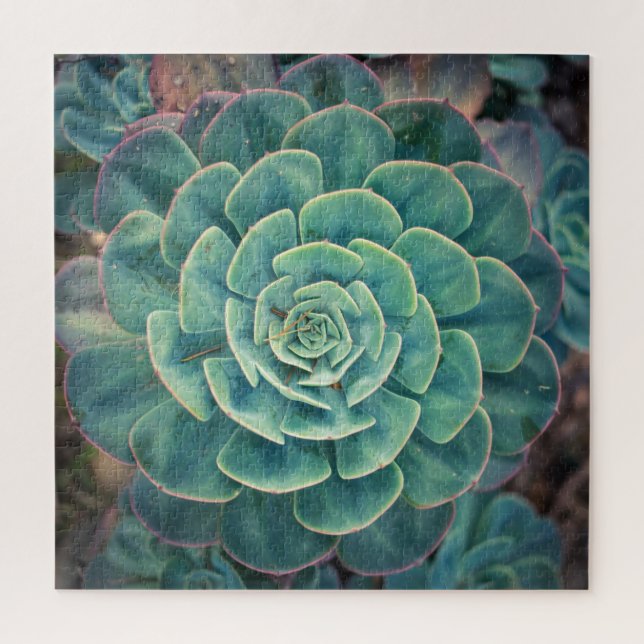 Puzzle Succulent del primer (Vertical)