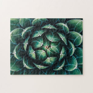 Puzzle Succulent verde y blanco