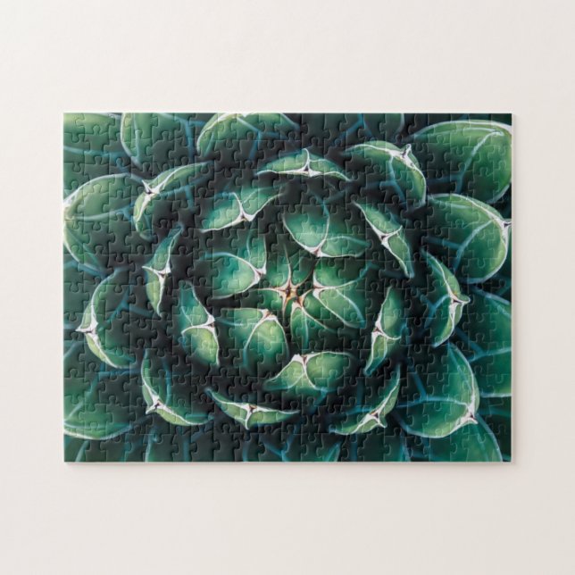Puzzle Succulent verde y blanco (Horizontal)
