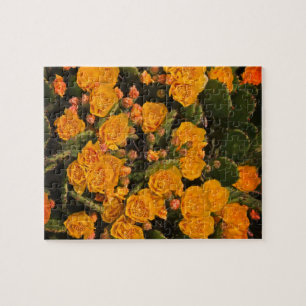 Puzzle Suculentas flores de jardín con plantas verdes am