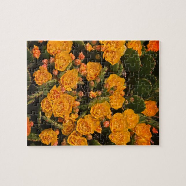 Puzzle Suculentas flores de jardín plantas verdes amarill (Horizontal)