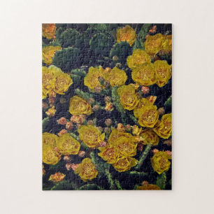 Puzzle Suculentas Jardín Yellow Floral Spring Regalo de v