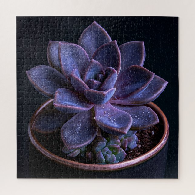 Puzzle Suculento  (Vertical)