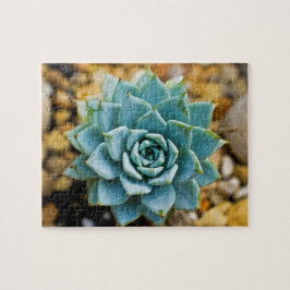 Puzzle Suculento