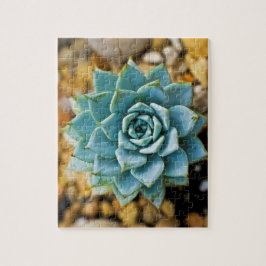 Puzzle Suculento