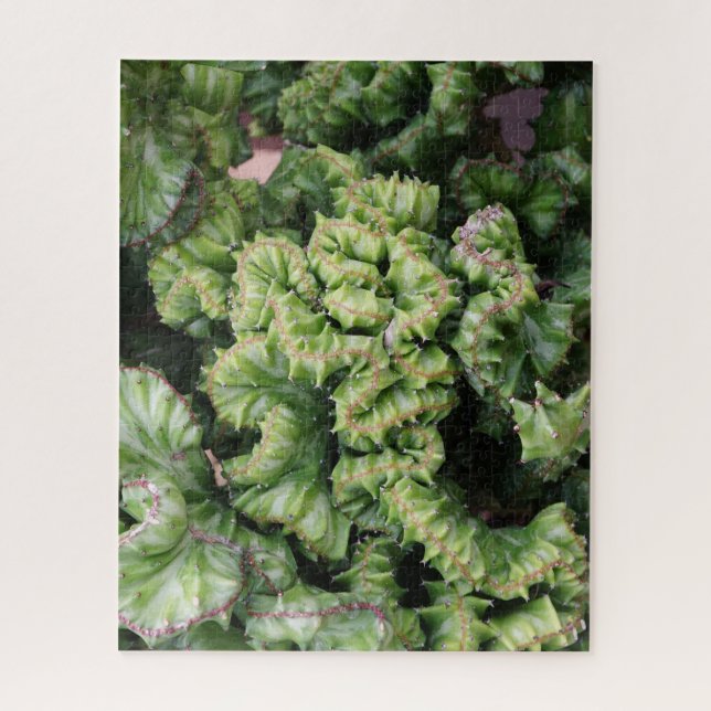 Puzzle Suculento (Vertical)