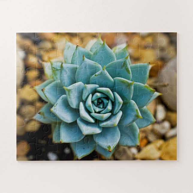 Puzzle Suculento (Horizontal)