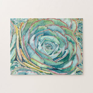 Puzzle Suculento rompecabezas: Rosa azul Echeveria