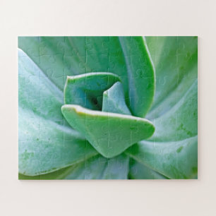 Puzzle Suculento Swirl
