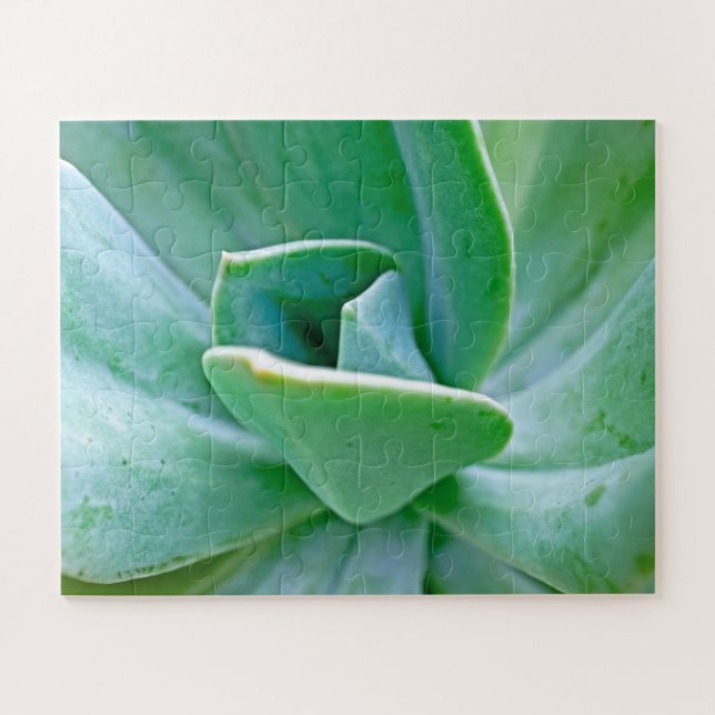 Puzzle Suculento Swirl (Horizontal)