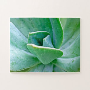 Puzzle Suculento Swirl