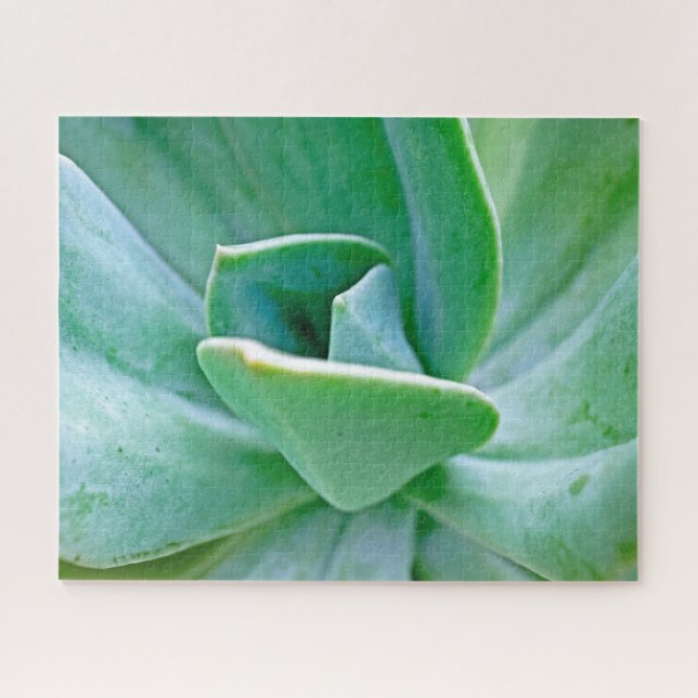 Puzzle Suculento Swirl (Horizontal)