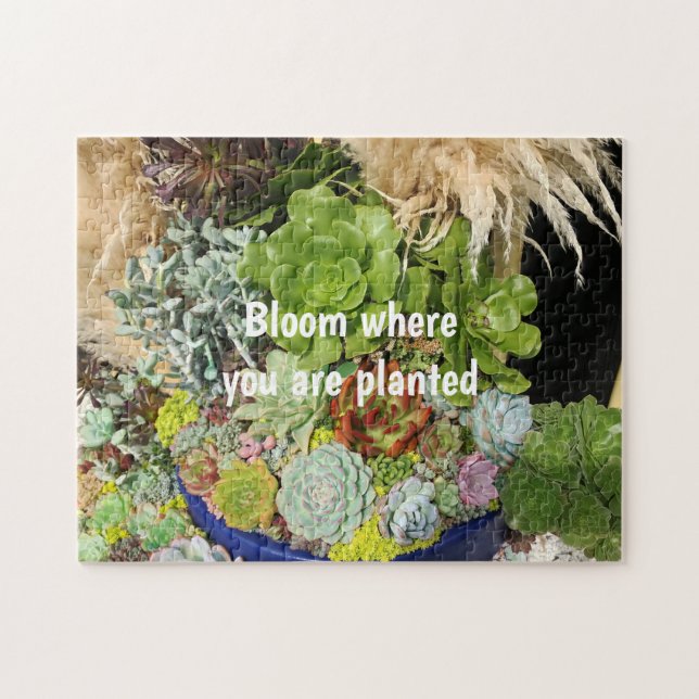 Puzzle Suculentos coloridos con hierba plateada (Horizontal)