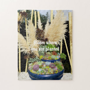 Puzzle Suculentos coloridos con hierba plateada