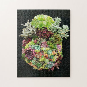 Puzzle Suculentos decorativos