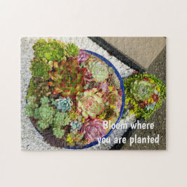 Puzzle Suculentos en el plantador