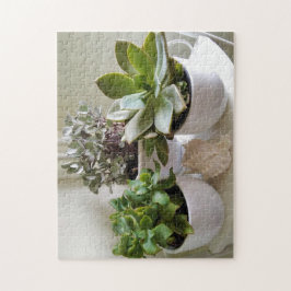 Puzzle Sucultores con manchas de café con foto de conchas