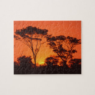 Puzzle Sudáfrica.  Atardecer africano.