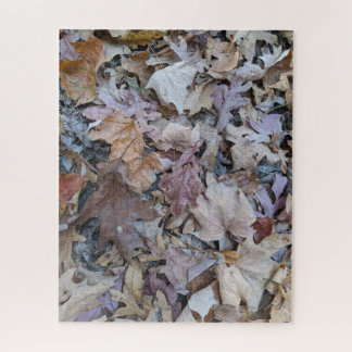 Puzzle Suelo forestal, 16" x 20", 520 piezas